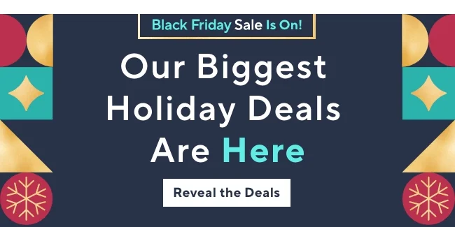 Black Friday Sale