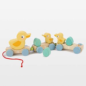 Tender Leaf Pull-Along Ducks Toy