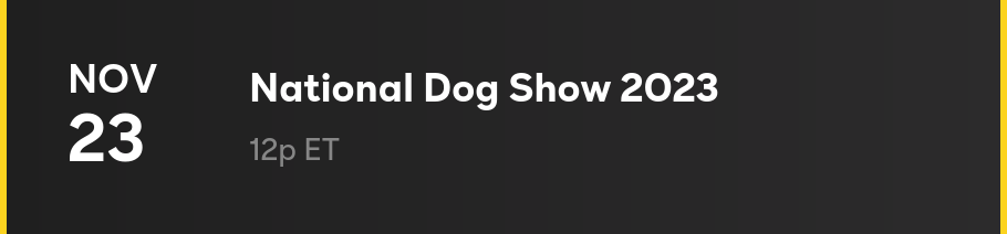 11/23 - National Dog Show 2023
