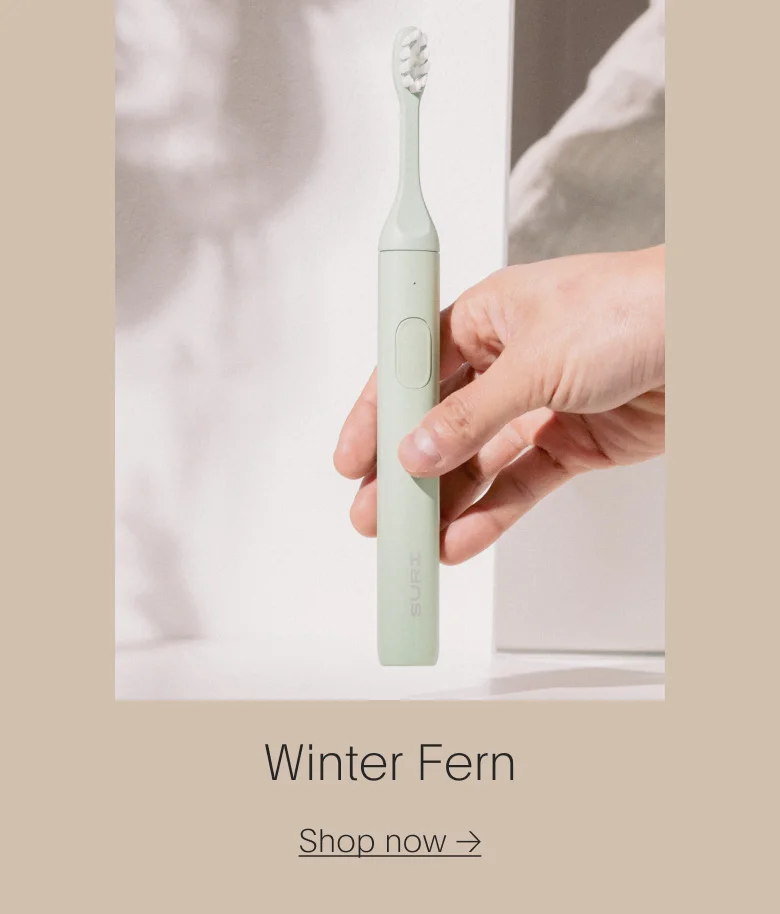 Winter Fern