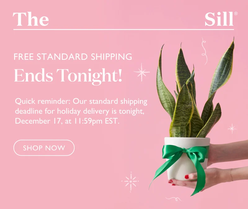 Quick reminder: Our standard shipping deadline for holiday delivery is tonight, December 17, at 11:59pm EST.