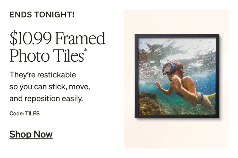 Last chance for free ship (no min) + up to 50% off almost everything