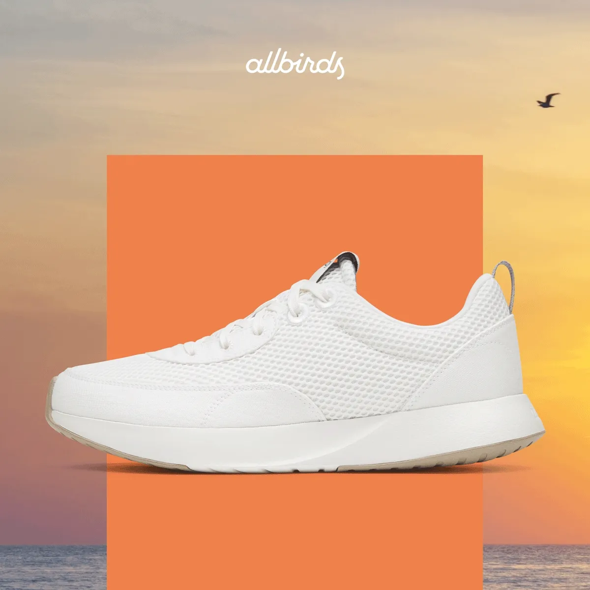 Allbirds travel Collection