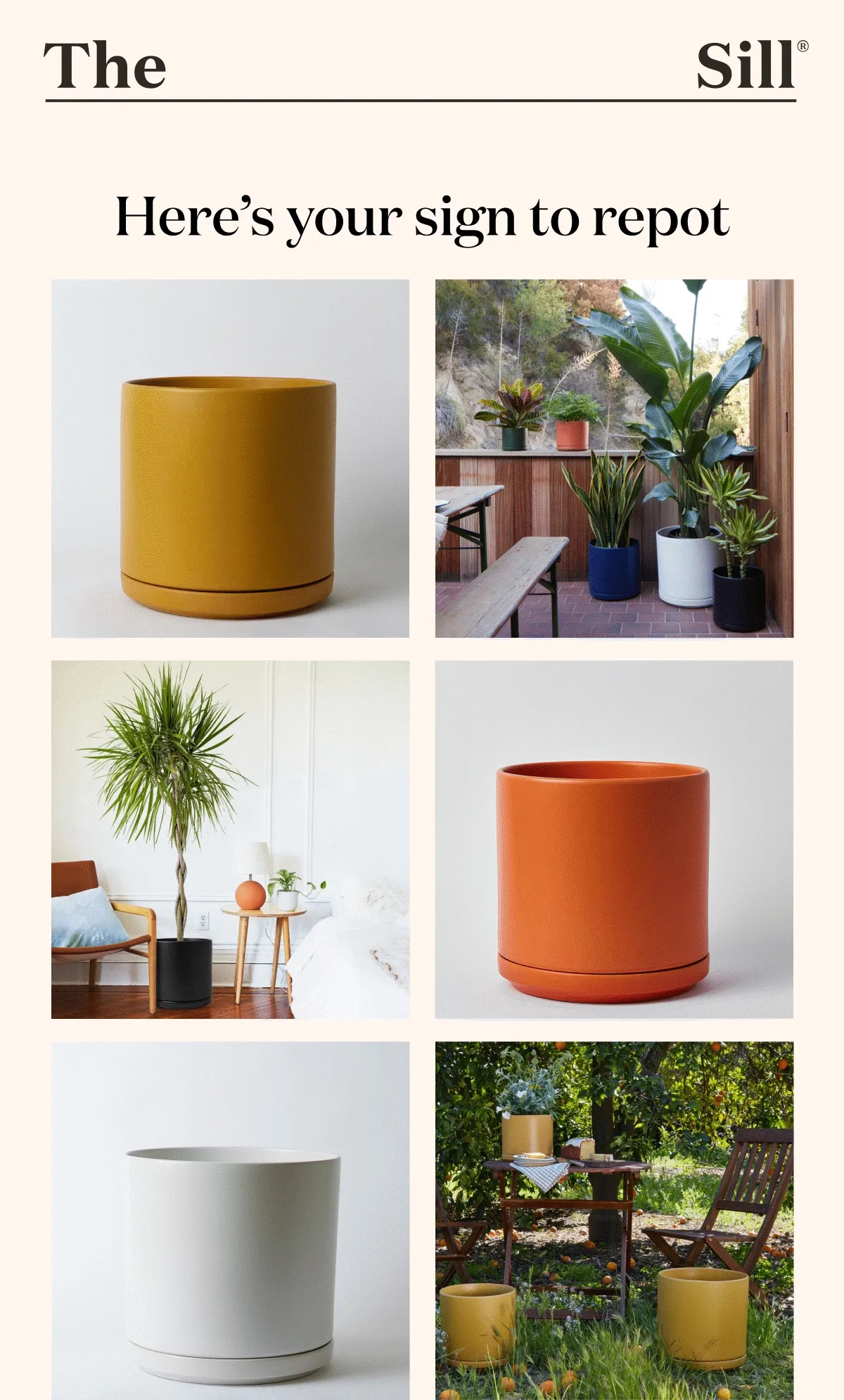 Happening Now: 50% Off Solid Goods Planters