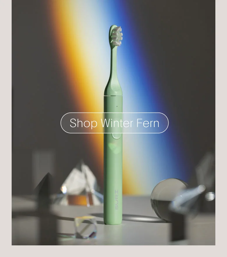 Winter Fern