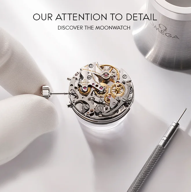 OUR ATTENTION TO DETAIL - DISCOVER THE MOONWATCH