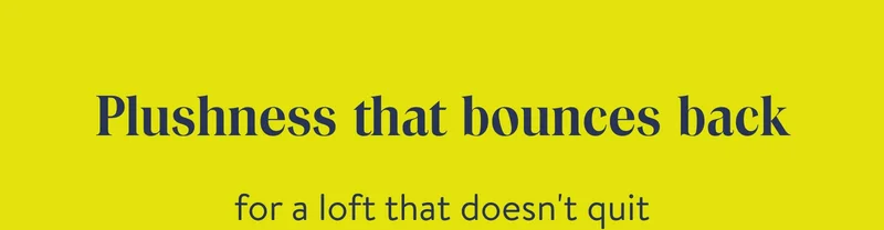 Plushness that bounces back