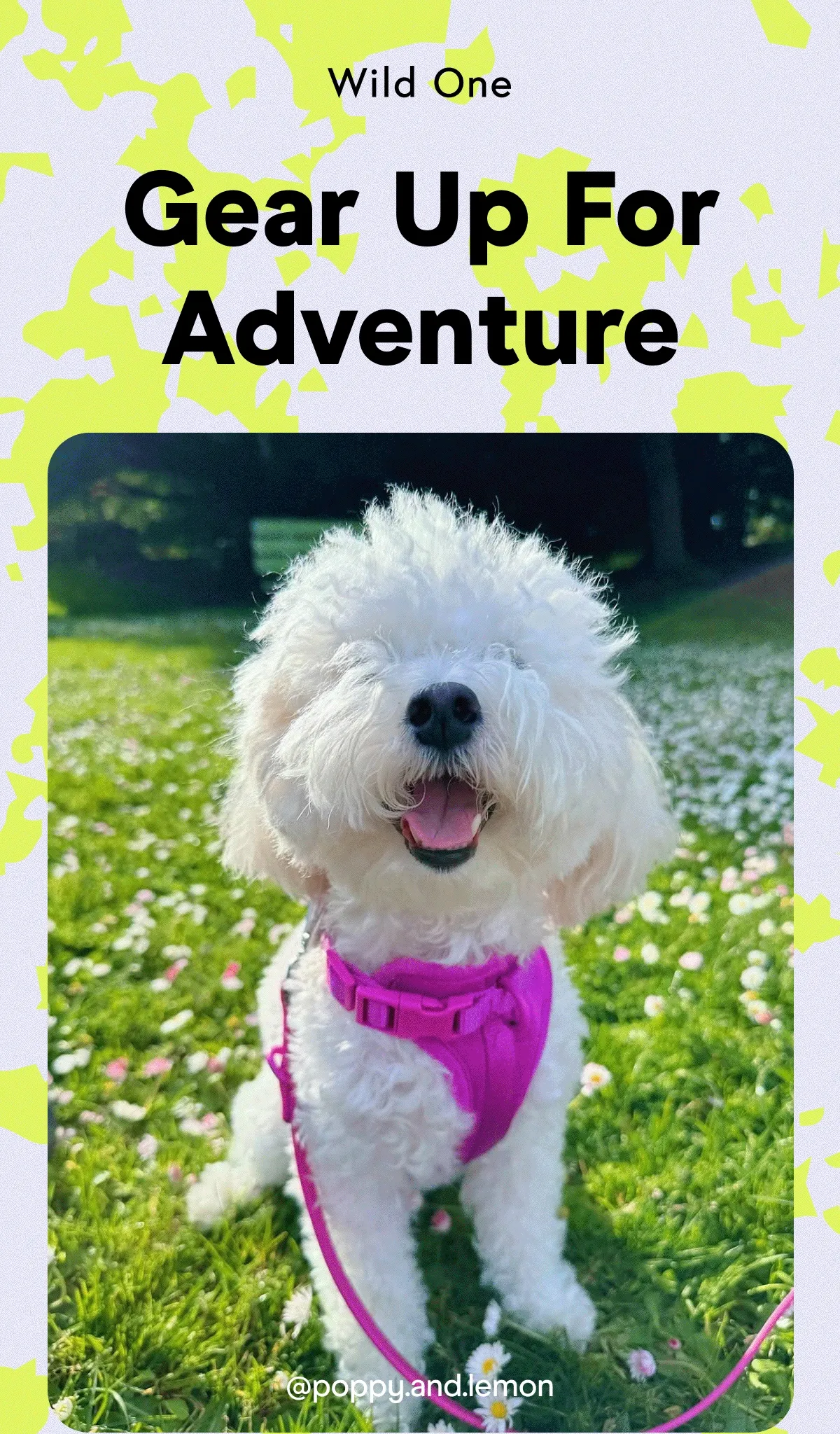 Gear Up For Adventure