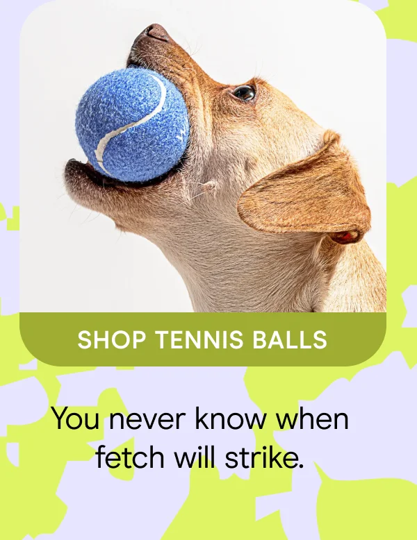 You never know when fetch will strike. Shop Tennis Balls