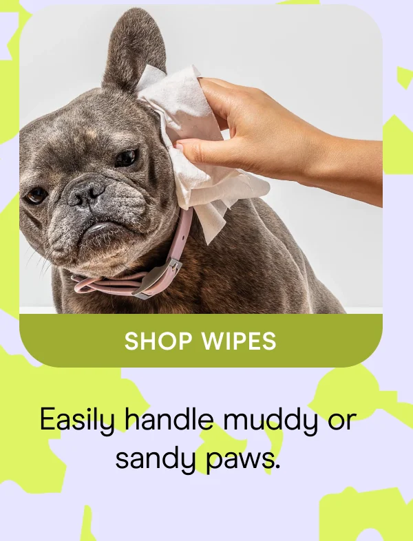 Easily handle muddy or sandy paws. Shop Wipes
