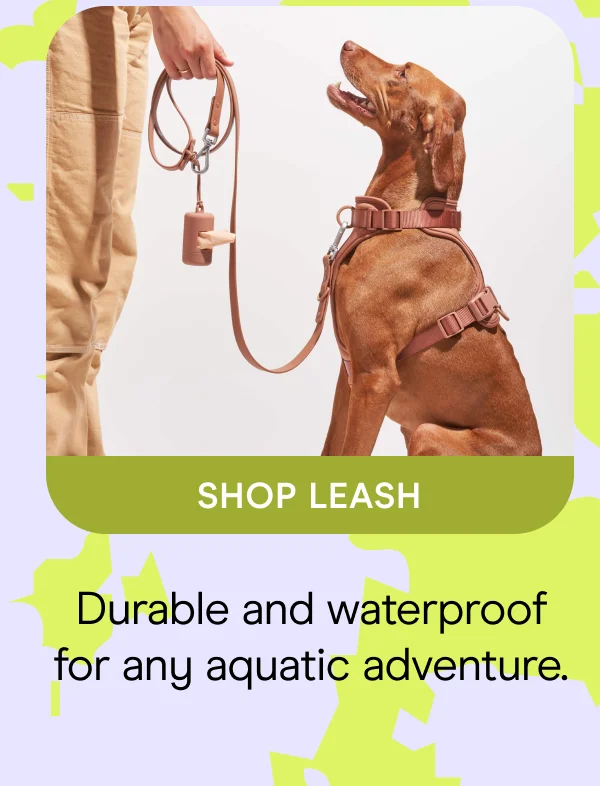 Durable and waterproof for any aquatic adventure. Shop Leash