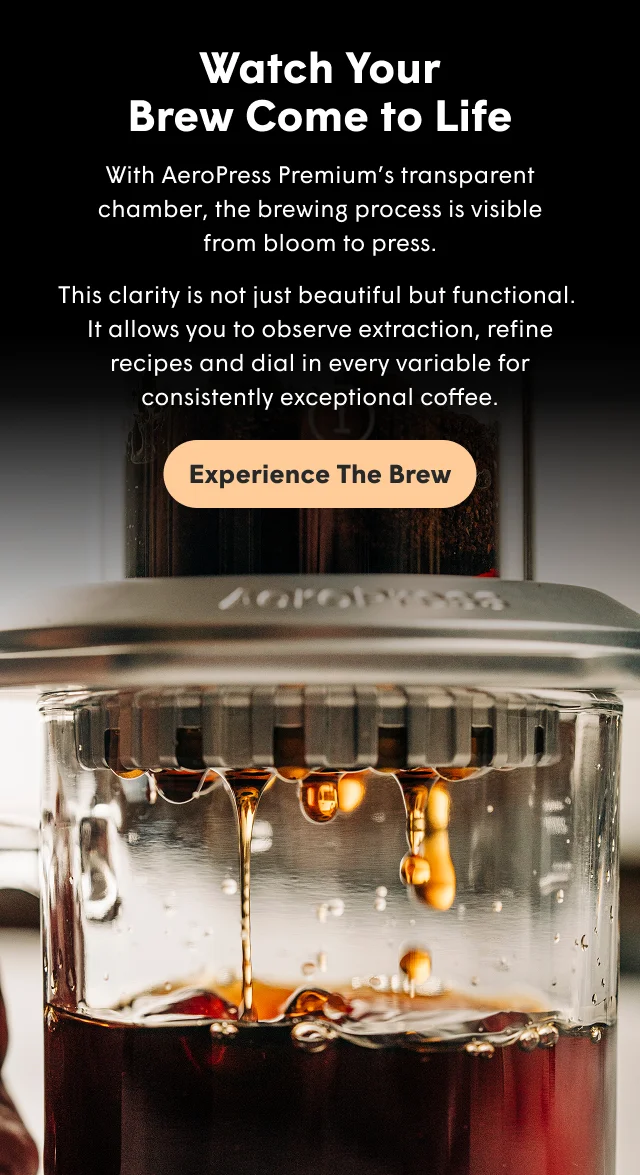 Watch Your Brew Come to Life