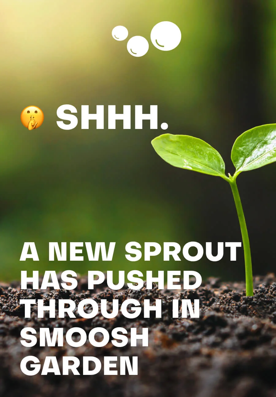 A green sprout pushing through the soil