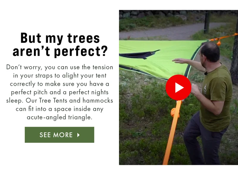 But my trees aren't perfect?