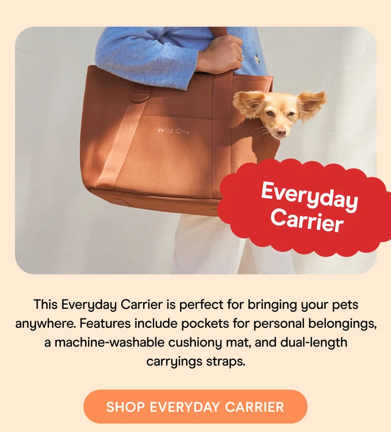 This Everyday Carrier is perfect for bringing your pets anywhere. Features include pockets for personal belongings, a machine-washable cushiony mat, and dual-length carryings straps.