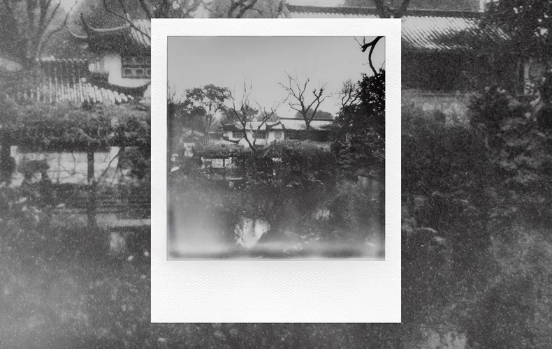 B&W polaroid shot
