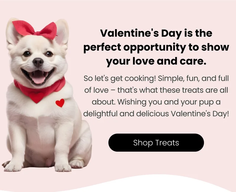 Valentine's Day is the perfect opportunity to show your love and care. - Shop Treats