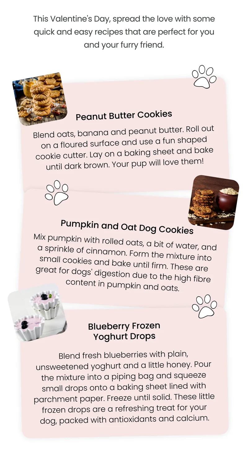 Quick and easy recipes that are perfect for you and your furry friend