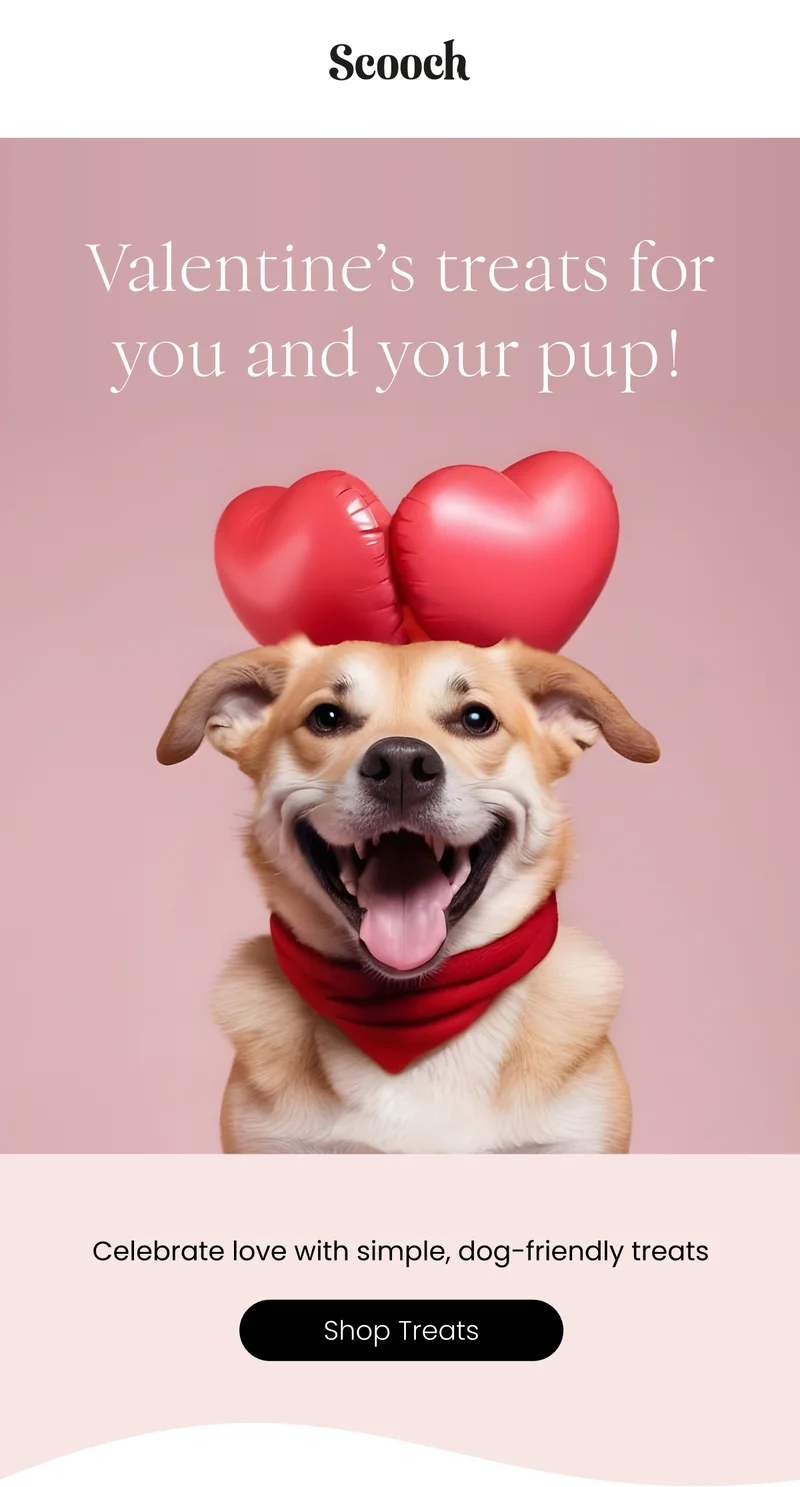 Celebrate love with simple, dog-friendly treats - Shop Treats