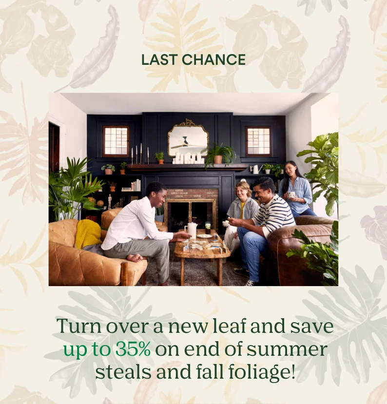 last chance to save!