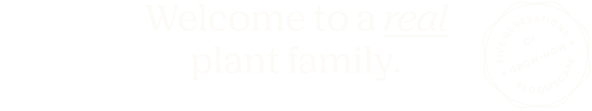 Welcome to real plant family!