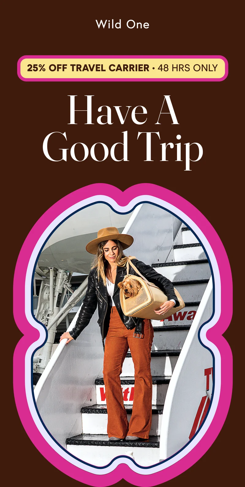25% OFF Travel Carriers - 48 Hours Only. Have A Good Trip!