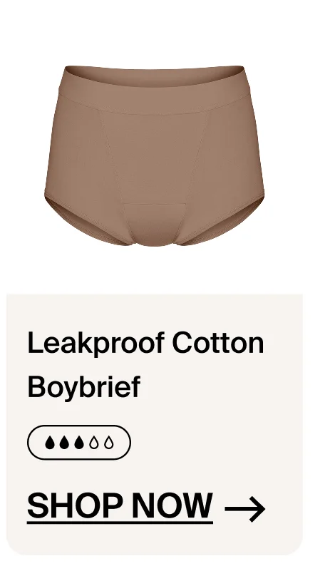 Leakproof Cotton BoyBrief