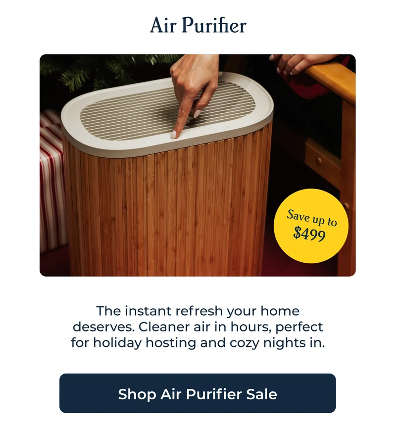 Shop Air Purifier Sale