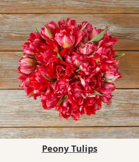 Flowers At a Great Price