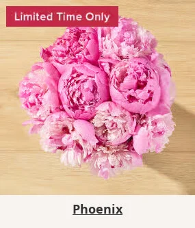 Flowers At a Great Price