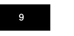 Size 9
