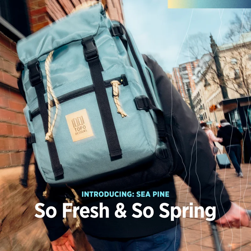 Introducing: Sea Pine