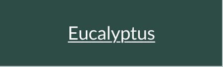 Eucalyptus