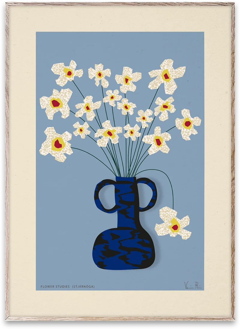 Flower Studies 04 - Stjärnöga