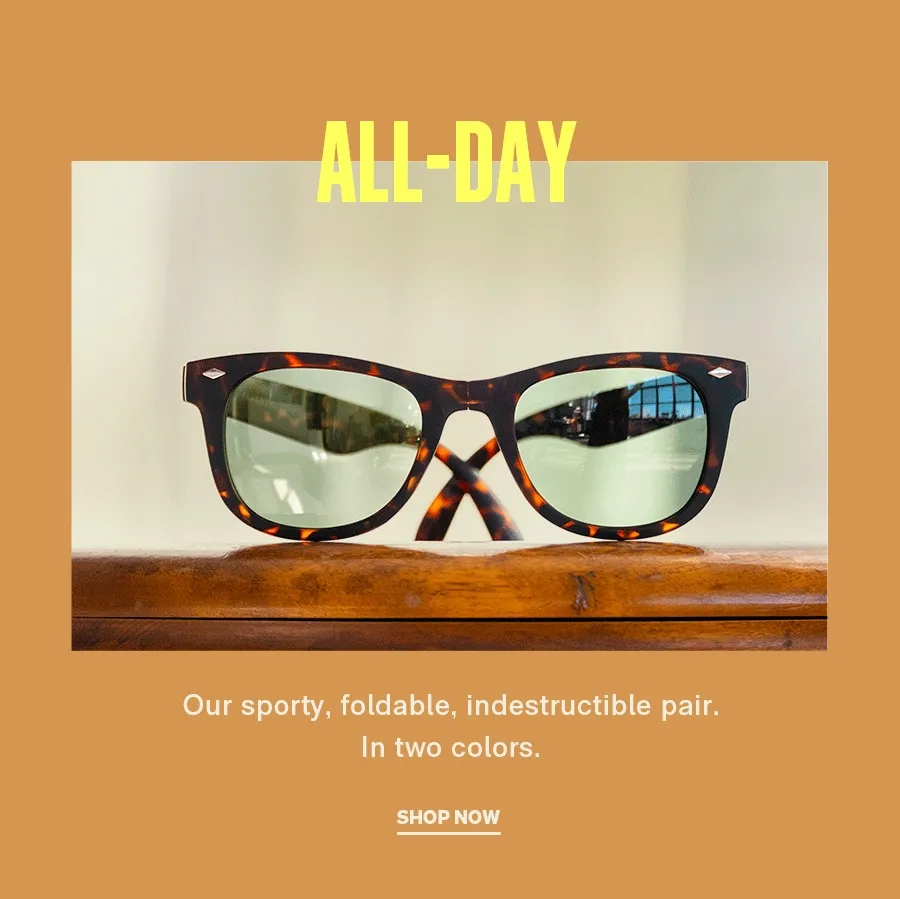 All Day Sunglasses