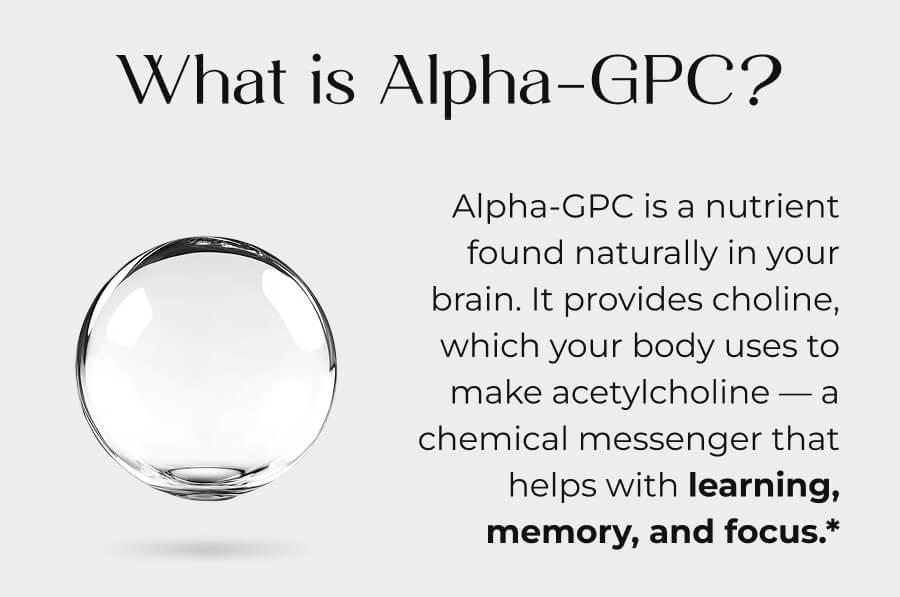What is Alpha-GPC?