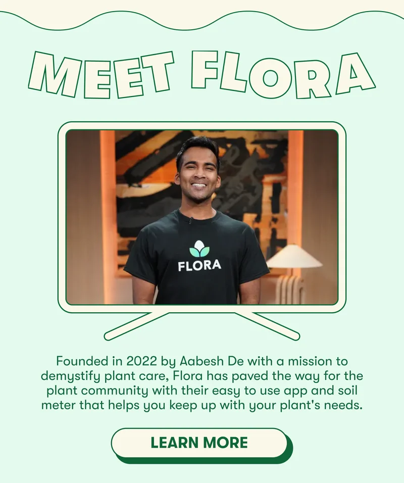Founded in 2022 by Aabesh De with a mission to demystify plant care, Flora has paved the way for the plant community with their easy to use app and soil meter that helps you keep up with your plant's needs. Learn more
