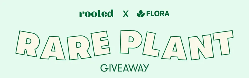 Rooted X Flora Rare Plant Giveaway
