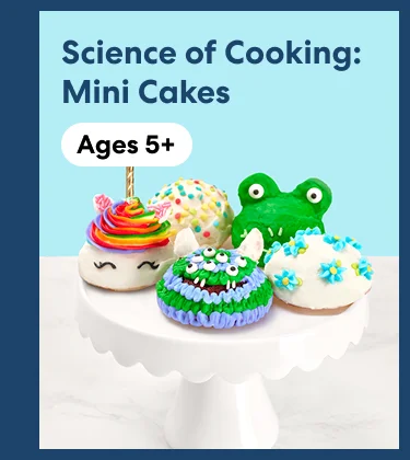 Science of Cooking: Mini Cakes Science of Cooking: Mini Cakes
