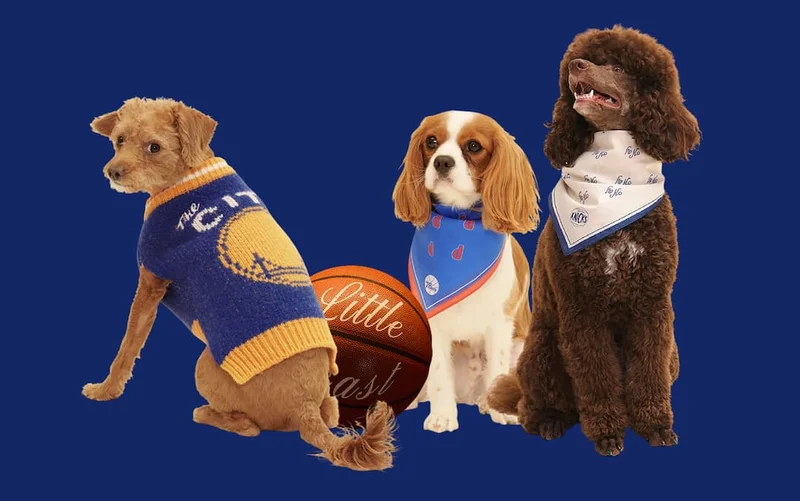 This is your last chance to score from our NBA collection.