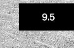 9.5