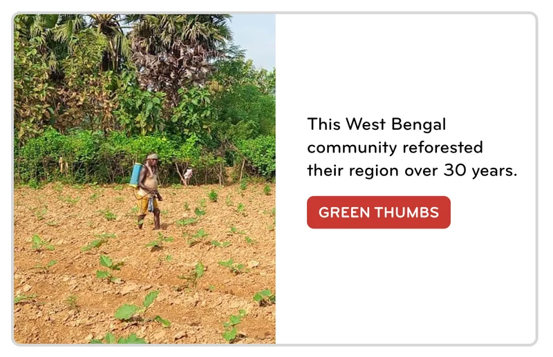 A villager in West Bengal works on reforestation efforts.