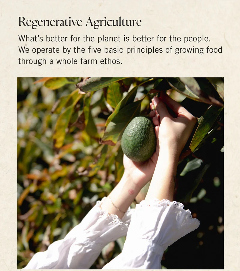 REGENERATIVE AGRICULTURE  What’s better for the planet is better for the people. We operate by the five basic principles of growing food through a whole farm ethos.