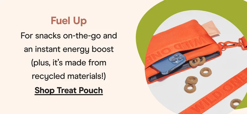 treat pouch