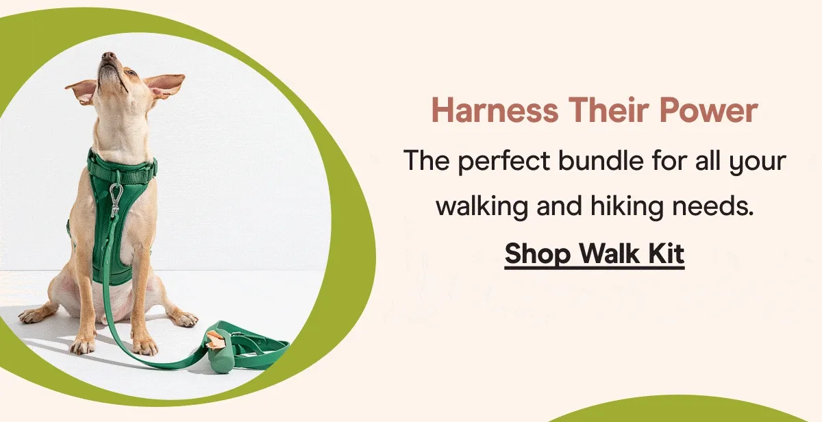 walk kit