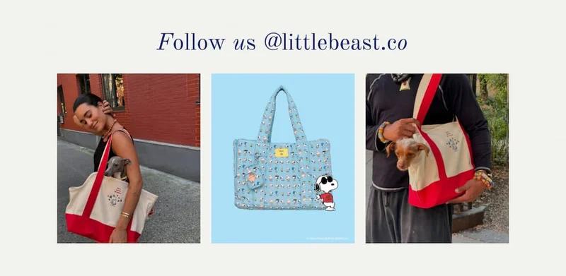 Follow us on Instagram