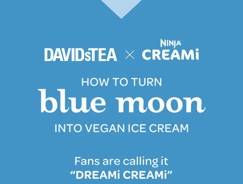 How to turn Blue Moon Superfood Latte Powder into Vegan Ice Cream