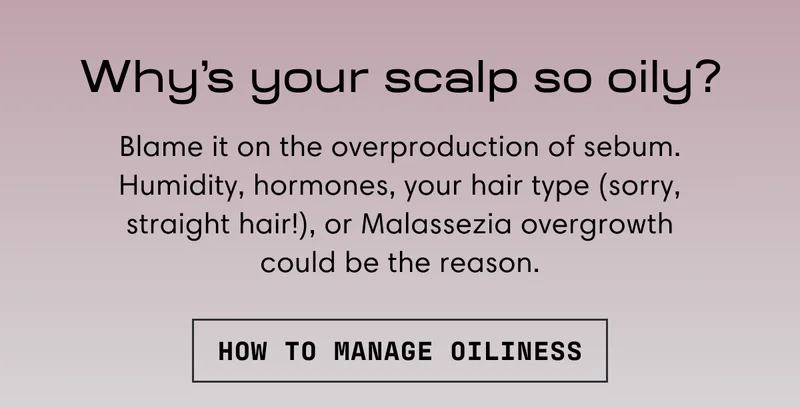 Why’s your scalp so oily? | Blame it on the overproduction of sebum. Humidity, hormones, your hair type (sorry, straight hair!), or Malassezia overgrowth could be the reason. | How to manage oiliness