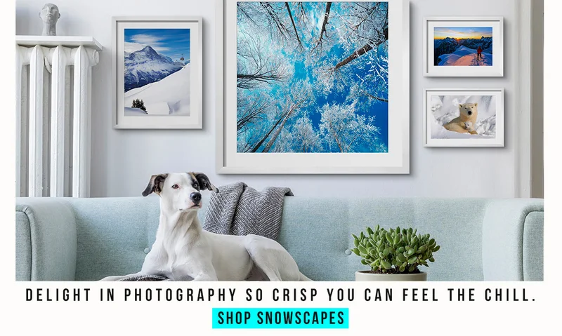 Shop Snowscapes - Delight in photography so crisp you can feel the chill.