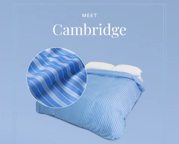Meet Cambridge